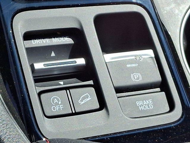 2025 Honda Pilot Vehicle Photo in DANBURY, CT 06810-5034