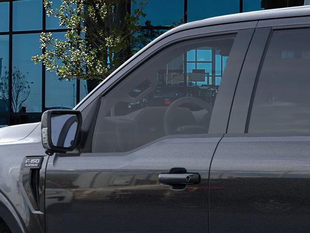 2025 Ford F-150 Vehicle Photo in Weatherford, TX 76087