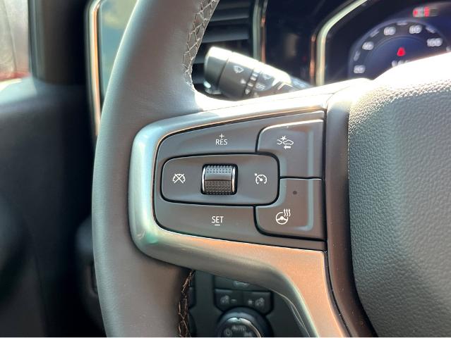 2024 Chevrolet Silverado 1500 Vehicle Photo in BEAUFORT, SC 29906-4218
