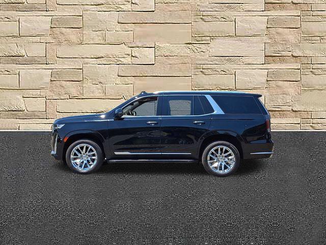 2021 Cadillac Escalade Vehicle Photo in DANBURY, CT 06810-5034