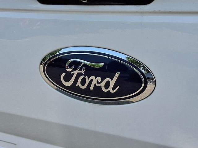 2019 Ford F-150 Vehicle Photo in DANBURY, CT 06810-5034