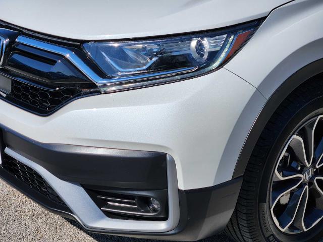 2021 Honda CR-V Vehicle Photo in DENTON, TX 76210-9321