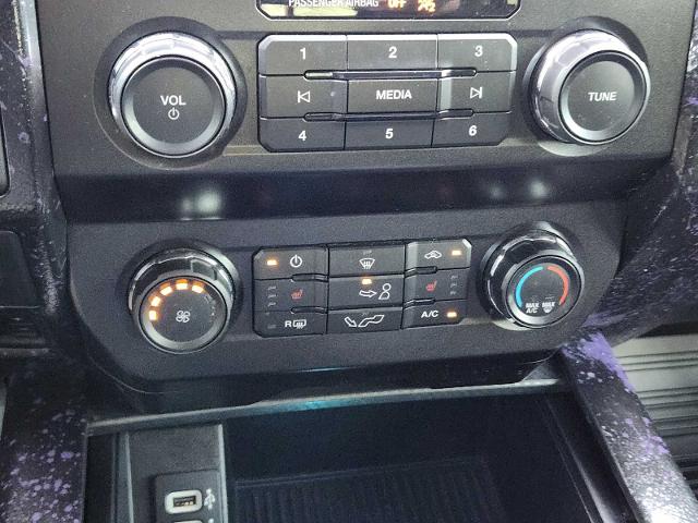 2020 Ford F-150 Vehicle Photo in DENTON, TX 76210-9321