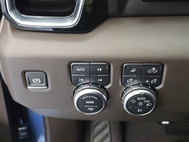 2024 GMC Sierra 1500 Vehicle Photo in Decatur, TX 76234