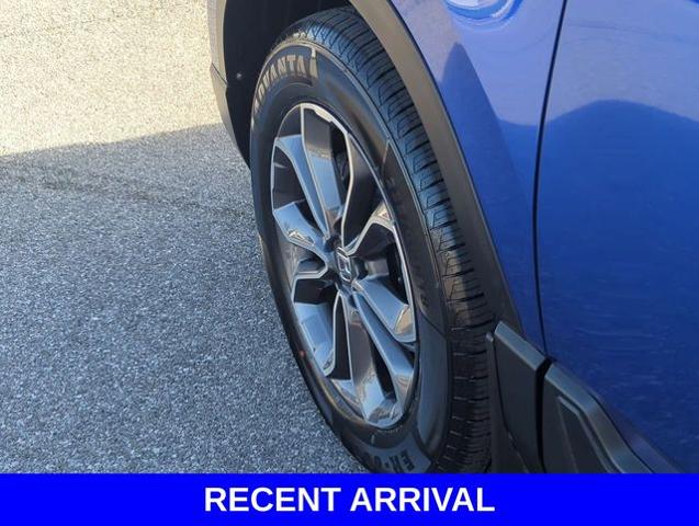 2021 Honda CR-V Vehicle Photo in Merrillville, IN 46410