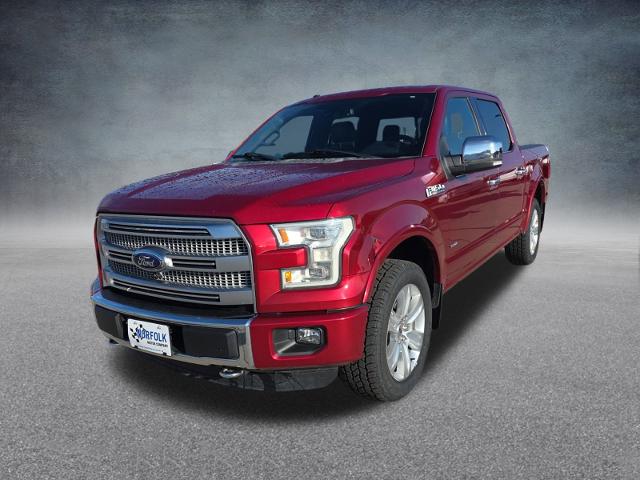 2015 Ford F-150 Vehicle Photo in NORFOLK, NE 68701-4634