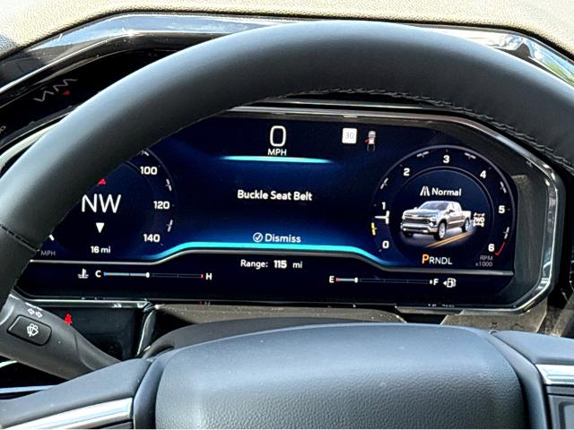 2025 Chevrolet Silverado 1500 Vehicle Photo in SAVANNAH, GA 31406-4513