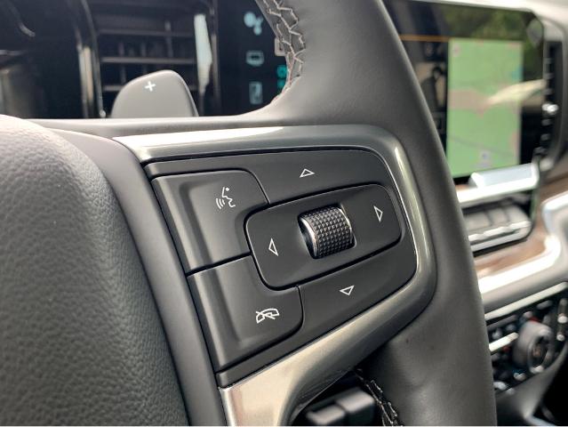 2025 Chevrolet Silverado 1500 Vehicle Photo in BEAUFORT, SC 29906-4218