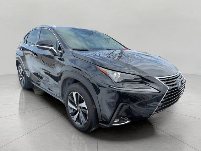 2021 Lexus NX 300h Vehicle Photo in Neenah, WI 54956