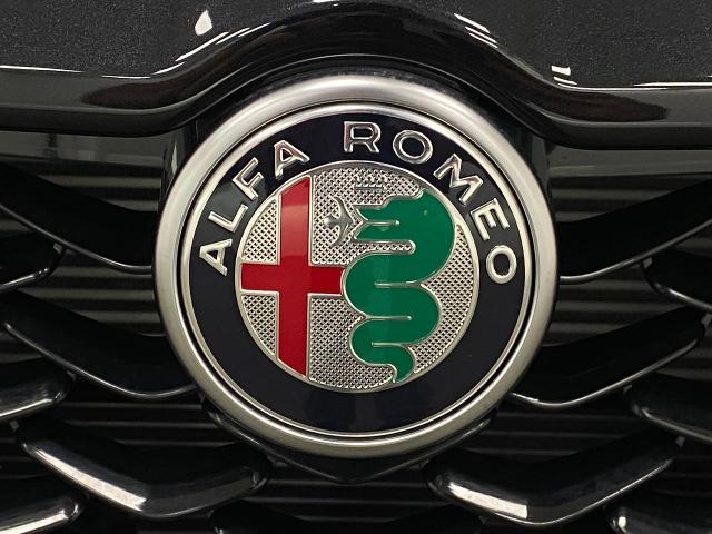 2025 Alfa Romeo Stelvio Vehicle Photo in Appleton, WI 54913