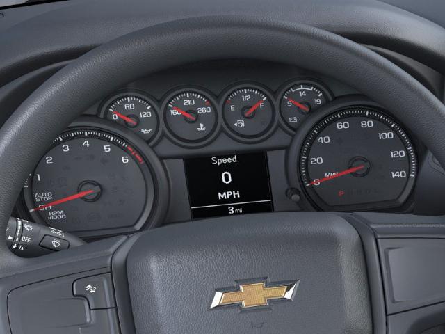 2024 Chevrolet Silverado 1500 Vehicle Photo in SELMA, TX 78154-1460