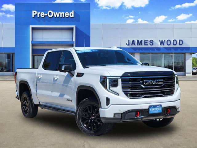 2025 GMC Sierra 1500 Vehicle Photo in DENTON, TX 76210-9321