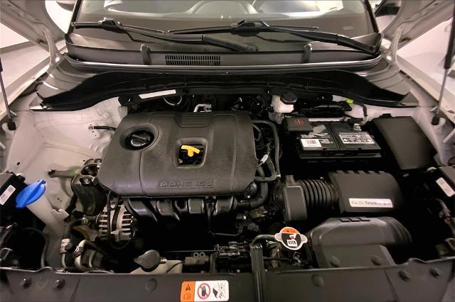 2024 Kia Soul Vehicle Photo in Lees Summit, MO 64086