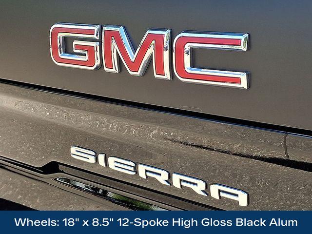 2024 GMC Sierra 1500 Vehicle Photo in DANBURY, CT 06810-5034