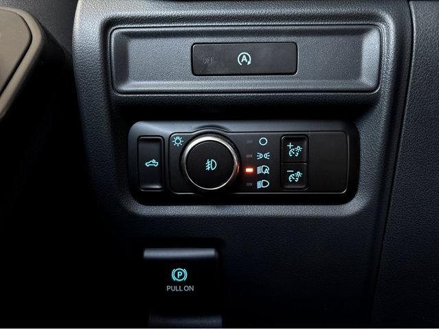 2025 Ford F-150 Vehicle Photo in Savannah, GA 31419