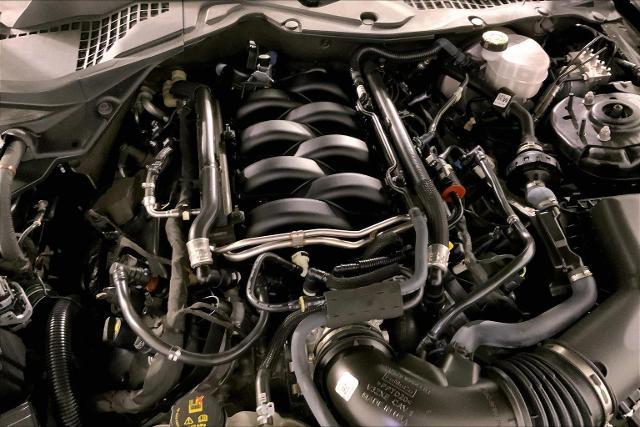 2023 Ford Mustang Vehicle Photo in INDEPENDENCE, MO 64055-1314
