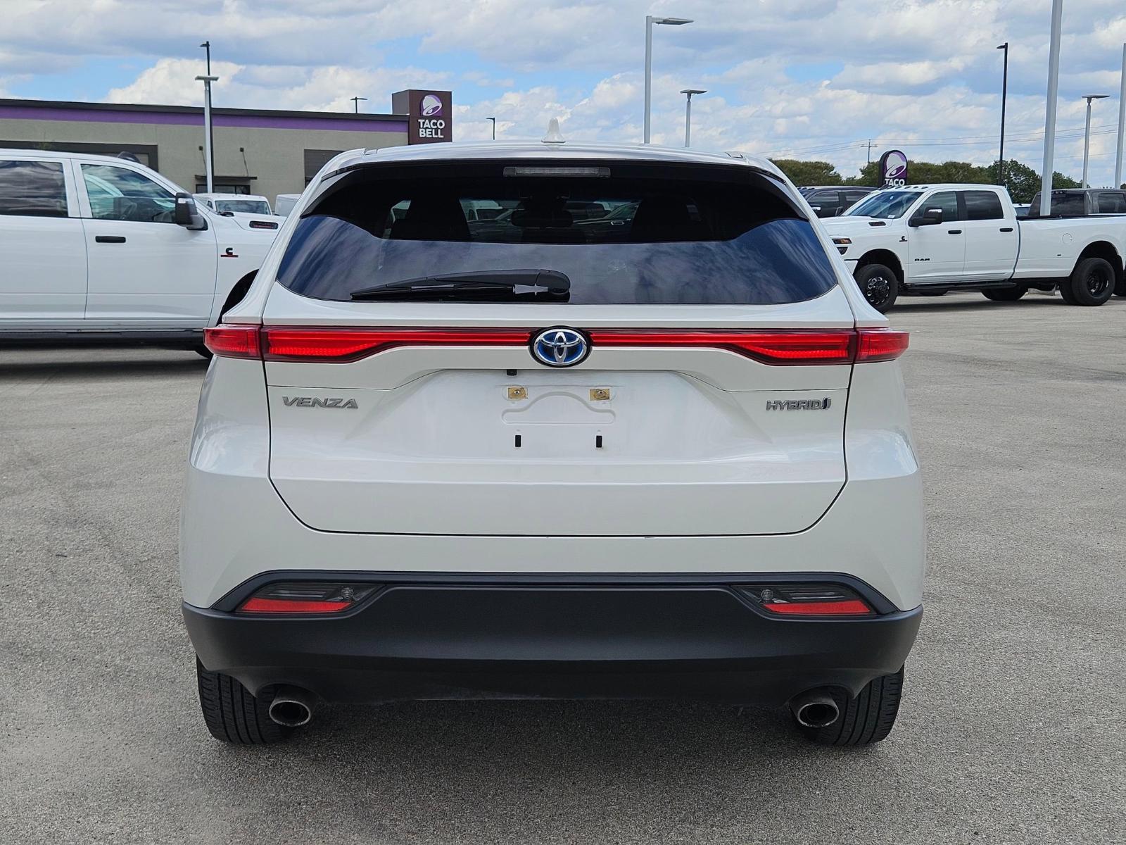 2022 Toyota Venza Vehicle Photo in Seguin, TX 78155