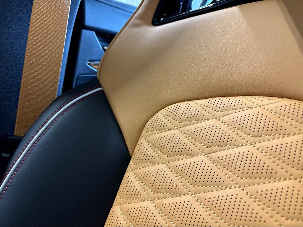 2025 Cadillac CT4-V Vehicle Photo in SAVANNAH, GA 31406-4513