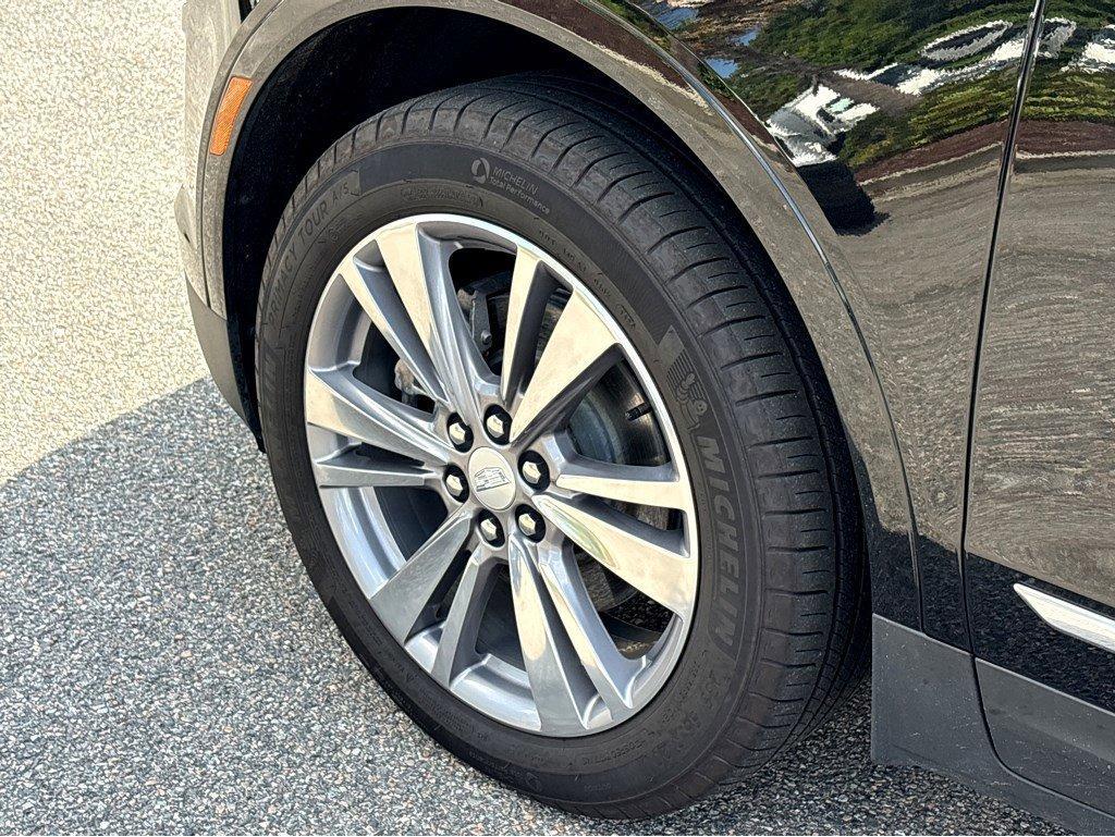 2025 Cadillac XT5 Vehicle Photo in SAVANNAH, GA 31406-4513