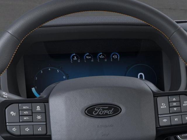 2025 Ford F-150 Vehicle Photo in Weatherford, TX 76087