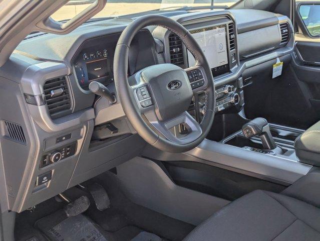 2025 Ford F-150 Vehicle Photo in SELMA, TX 78154-1460