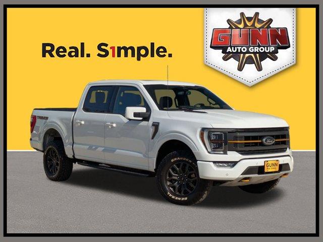 2023 Ford F-150 Vehicle Photo in SELMA, TX 78154-1459