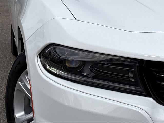 2023 Dodge Charger Vehicle Photo in BEAUFORT, SC 29906-4218