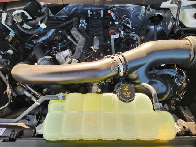 2025 Ford F-150 Vehicle Photo in Weatherford, TX 76087