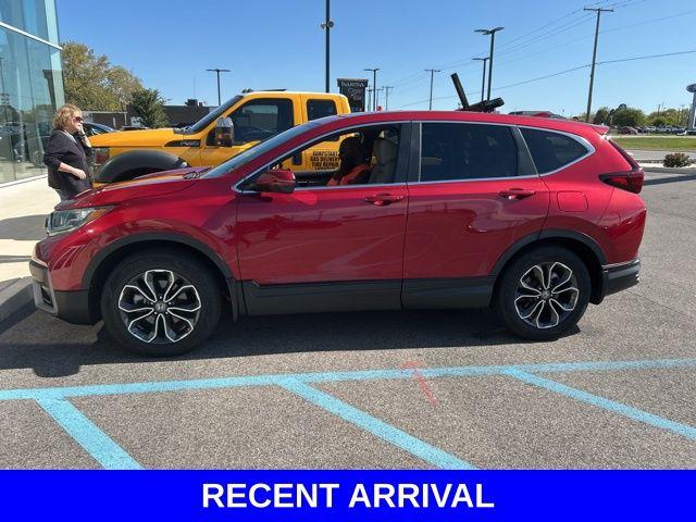 2022 Honda CR-V Vehicle Photo in Merrillville, IN 46410