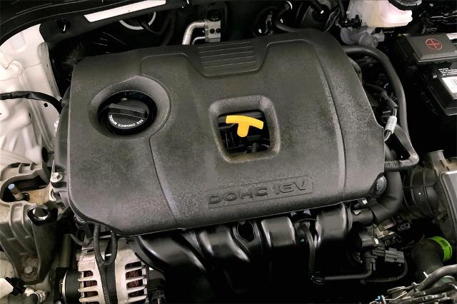 2024 Kia Soul Vehicle Photo in Lees Summit, MO 64086