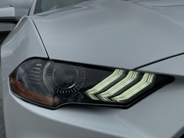 2019 Ford Mustang Vehicle Photo in Statesboro, GA 30458