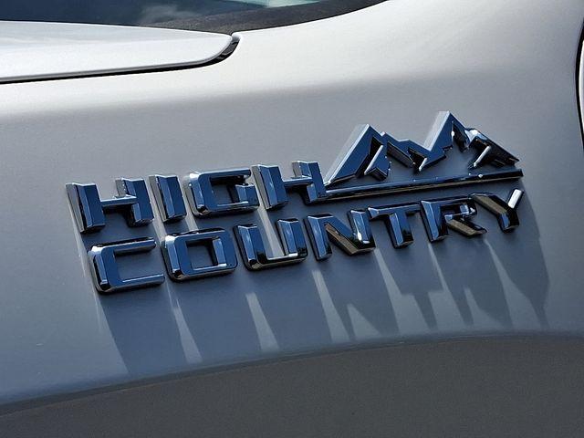 2024 Chevrolet Silverado 1500 Vehicle Photo in DANBURY, CT 06810-5034