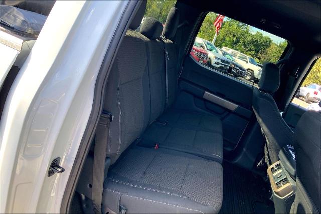 2024 Ford F-150 Vehicle Photo in KANSAS CITY, MO 64114-4502