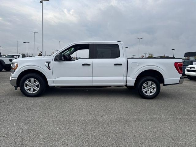2021 Ford F-150 Vehicle Photo in Jonesboro, AR 72404