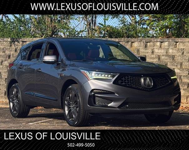 2019 Acura RDX Vehicle Photo in Louisville, KY 40299