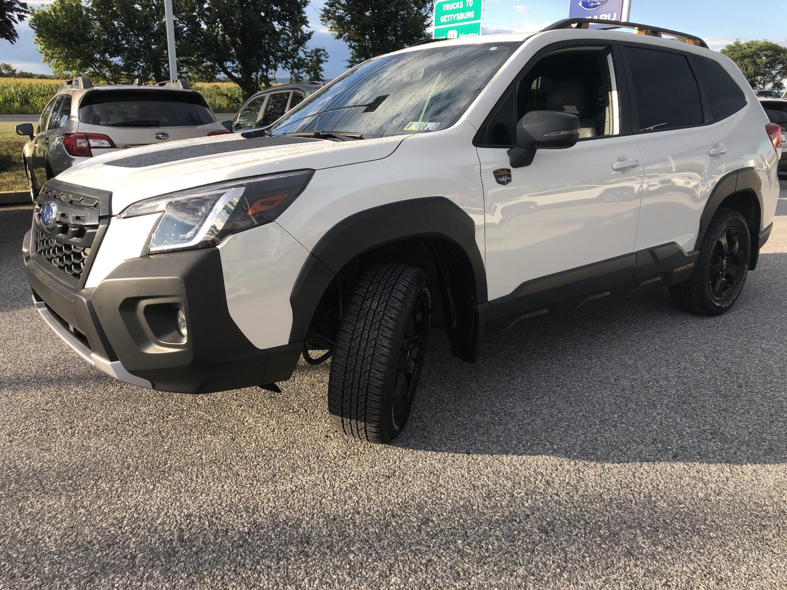 2024 Subaru Forester Vehicle Photo in Mechanicsburg, PA 17050