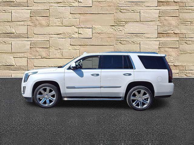 2018 Cadillac Escalade Vehicle Photo in DANBURY, CT 06810-5034