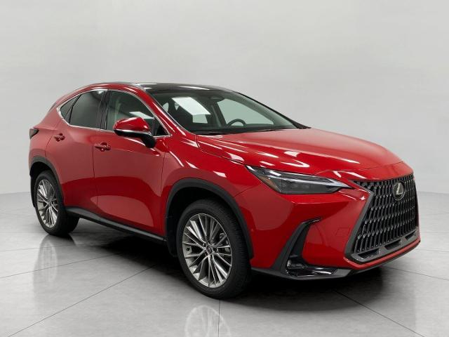 2025 Lexus NX 350h Vehicle Photo in Appleton, WI 54913