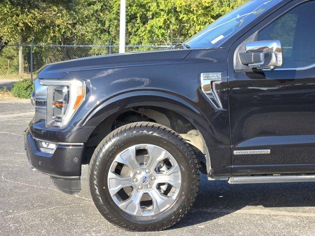 2023 Ford F-150 Vehicle Photo in Decatur, TX 76234