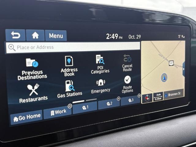 2020 Hyundai PALISADE Vehicle Photo in Statesboro, GA 30458