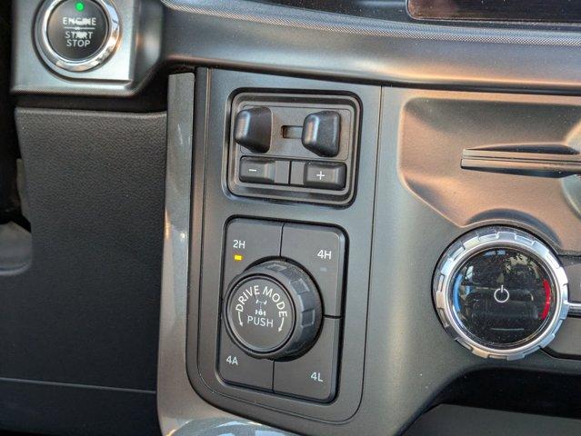2023 Ford F-150 Vehicle Photo in SELMA, TX 78154-1459