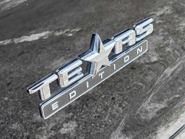 2025 Chevrolet Silverado 1500 Vehicle Photo in DENTON, TX 76210-9321