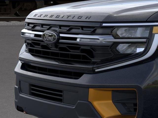 2025 Ford Expedition Vehicle Photo in Weatherford, TX 76087