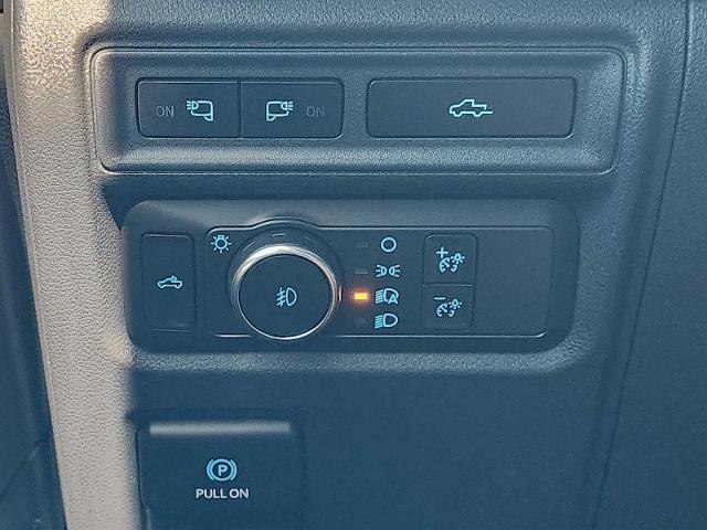 2021 Ford F-150 Vehicle Photo in DENTON, TX 76210-9321
