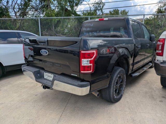 2019 Ford F-150 Vehicle Photo in SELMA, TX 78154-1459