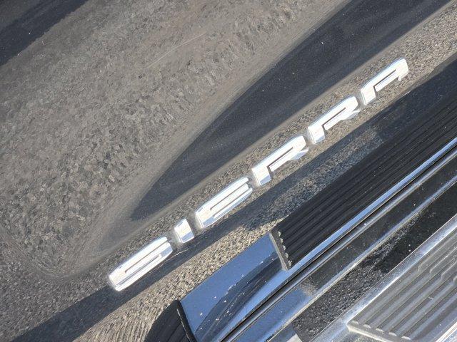 2020 GMC Sierra 1500 Vehicle Photo in Decatur, TX 76234