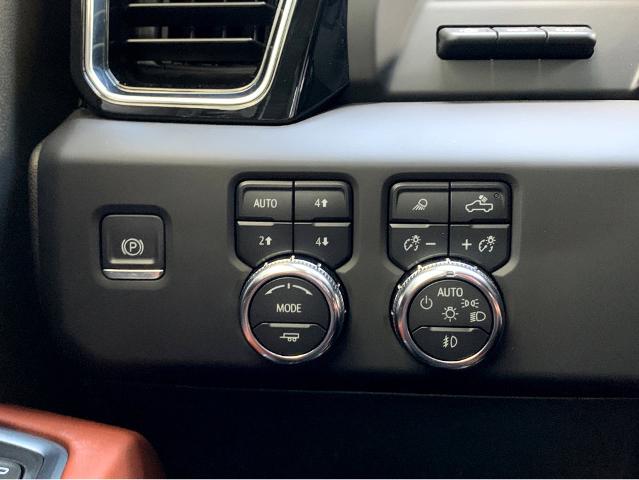2024 GMC Sierra 1500 Vehicle Photo in BEAUFORT, SC 29906-4218