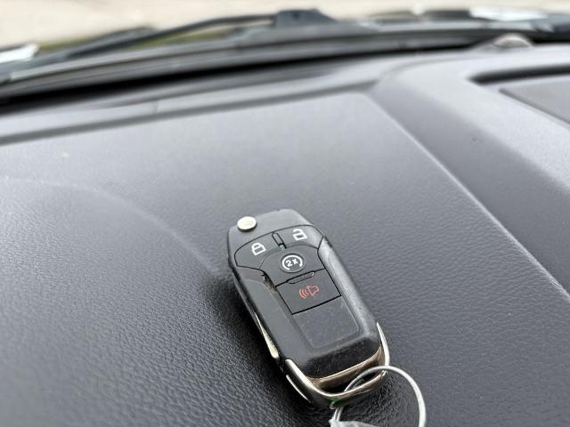 2019 Ford F-150 Vehicle Photo in Savannah, GA 31419
