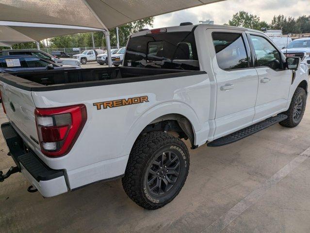 2023 Ford F-150 Vehicle Photo in SELMA, TX 78154-1459