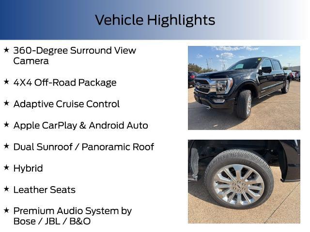 2023 Ford F-150 Vehicle Photo in Weatherford, TX 76087